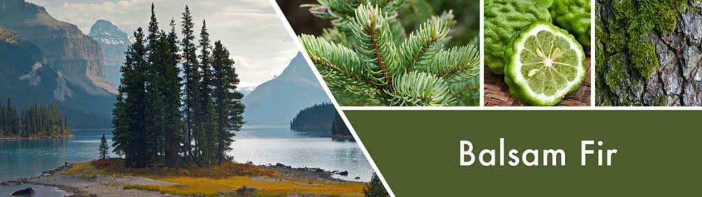 goose-creek-balsam-fir